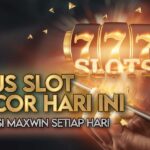 Slot Online dan Return to Player (RTP): Apa yang Perlu Anda Ketahui?